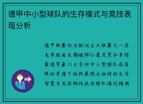 德甲中小型球队的生存模式与竞技表现分析